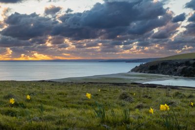 Loe Bar
