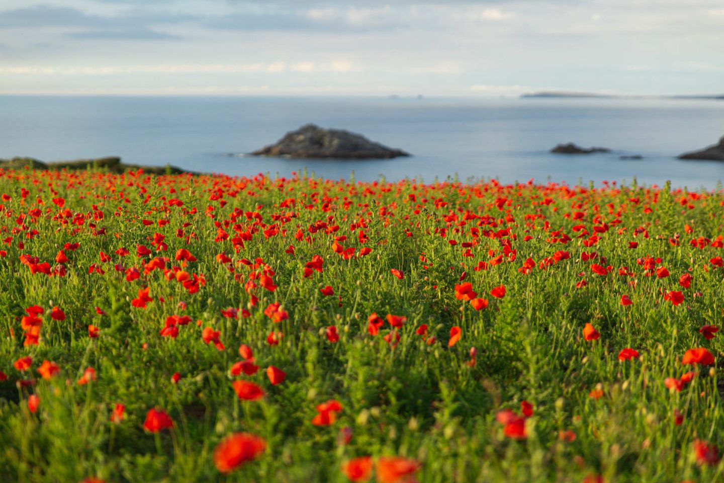 West Pentire
