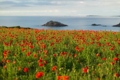 West Pentire