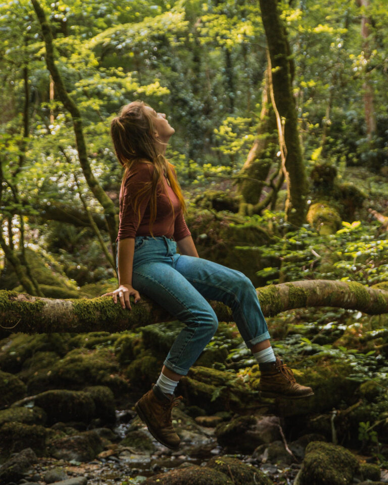 Woodland Wonder